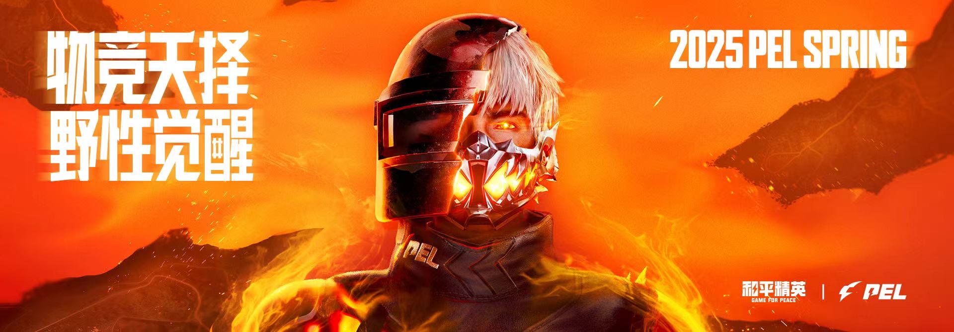 和平精英《诛仙》辅助